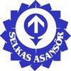Selkas Asansör